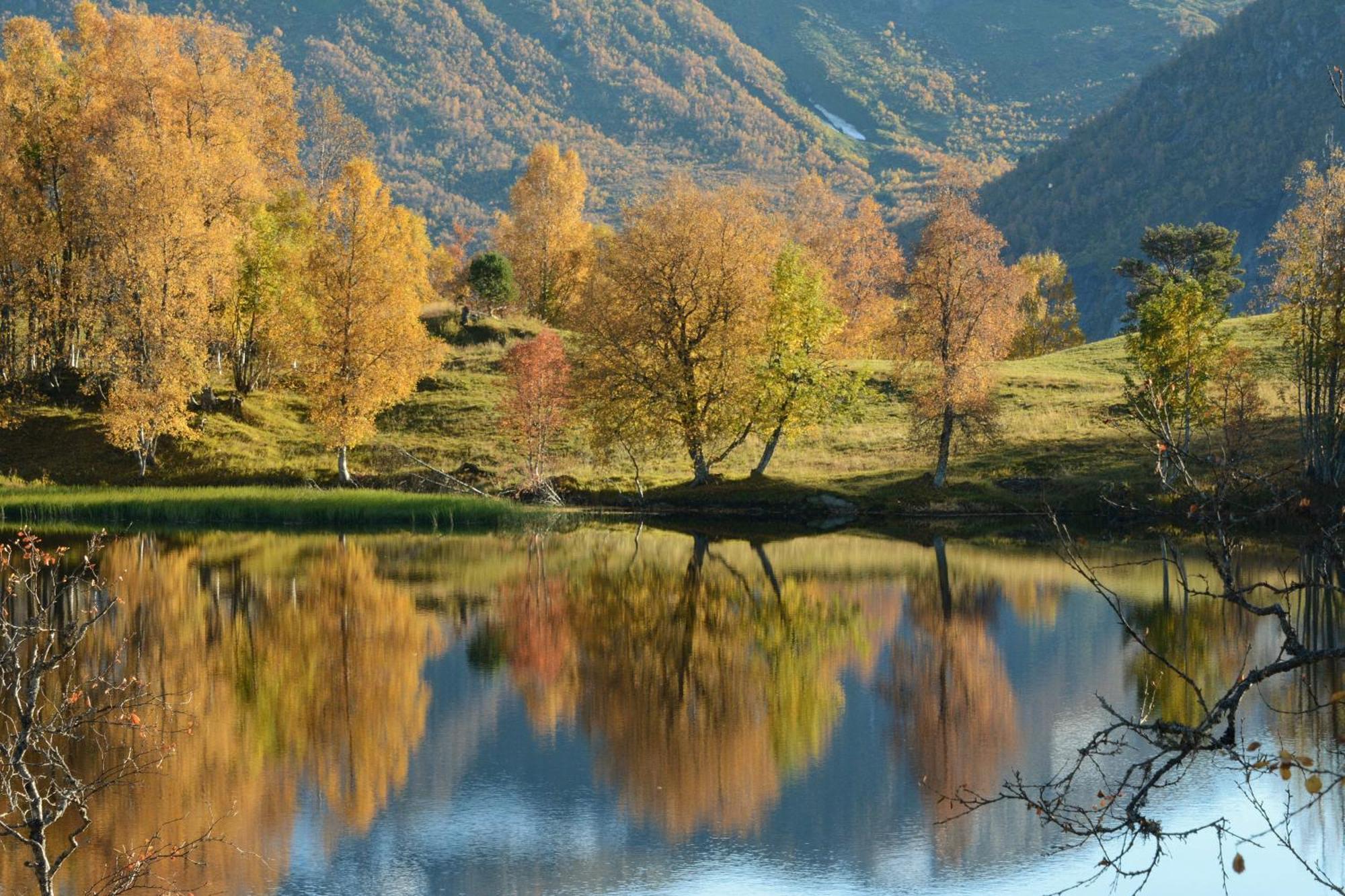 Tuftegarden Hotel Viksdalen Kültér fotó