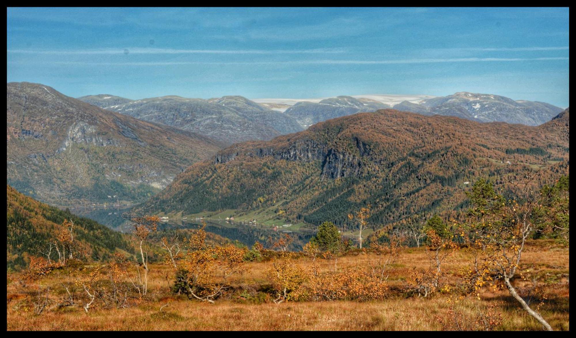 Tuftegarden Hotel Viksdalen Kültér fotó