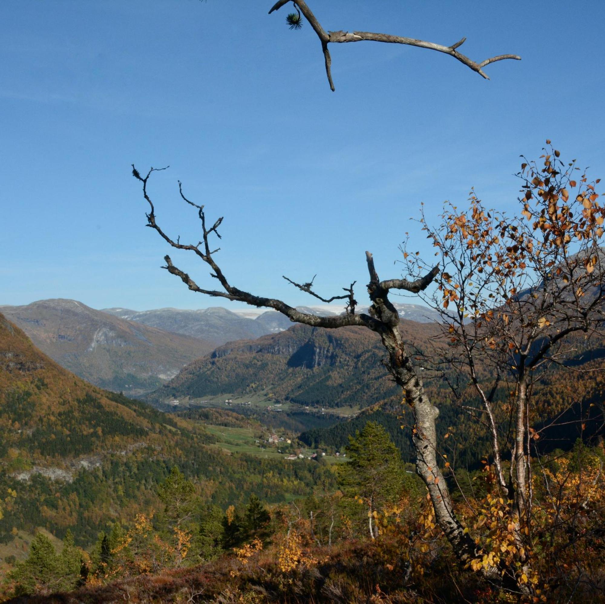 Tuftegarden Hotel Viksdalen Kültér fotó
